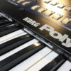 Korg Polysix: ModyPoly Strips
