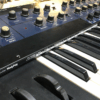 Korg Polysix: ModyPoly Strips