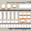 Roland TR-6S: 909 Overlay